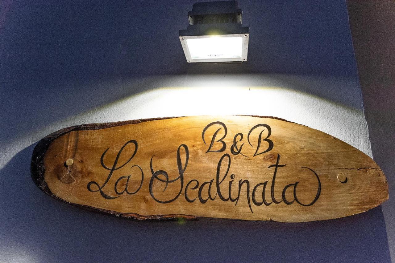 La Scalinata Bed & Breakfast Marina di Mancaversa Dış mekan fotoğraf