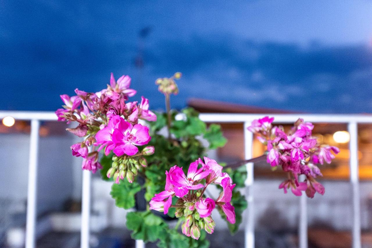 La Scalinata Bed & Breakfast Marina di Mancaversa Dış mekan fotoğraf